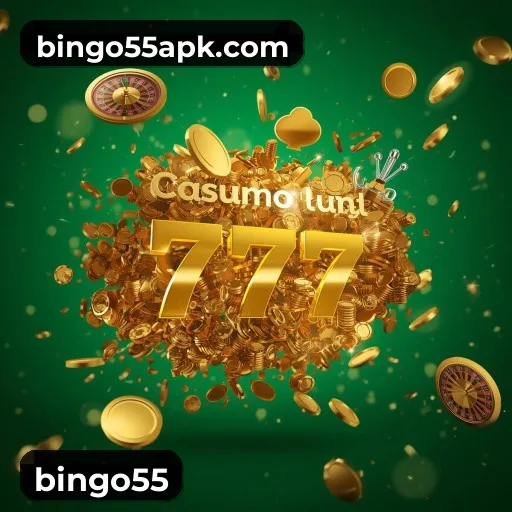 Funcionalidades App bingo55